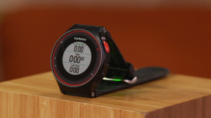 garmin225